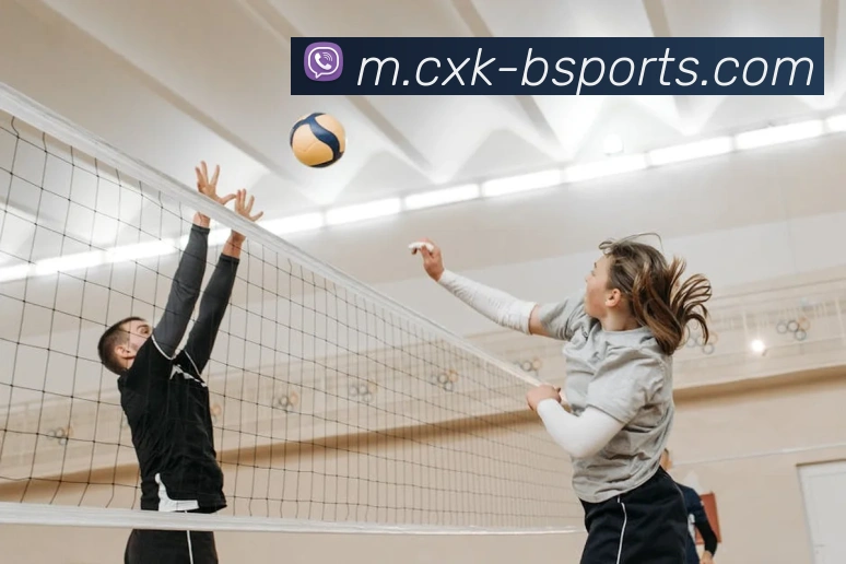 B体育平台生态图