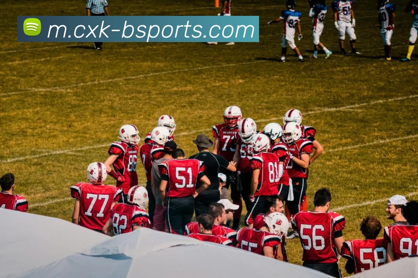 B体育APP 封面图